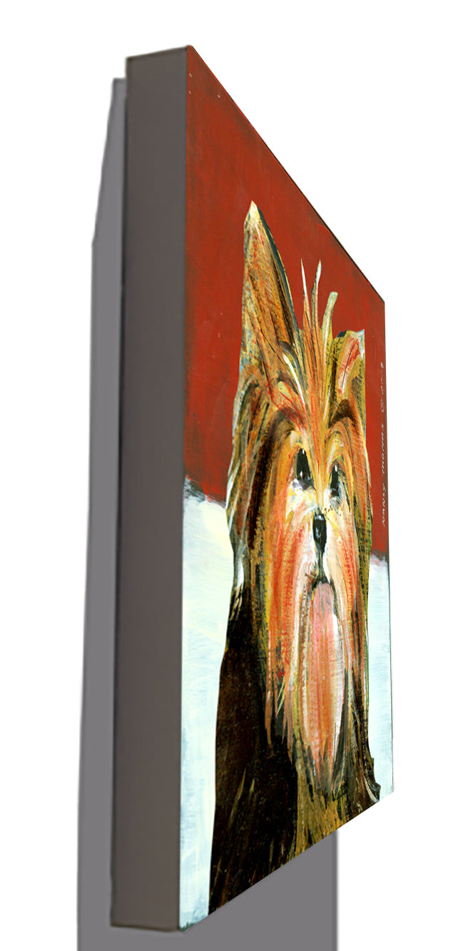 Gallery Grand - Dog Face - Yorkie