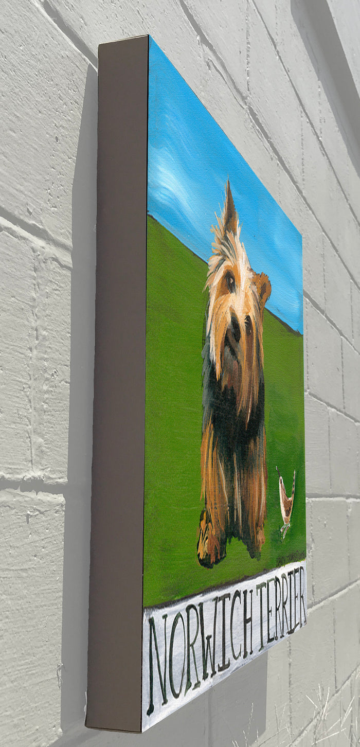 Gallery Grand - Doggie - Norwich Terrier