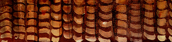 Gallery Grand - Doggie - Sheep Dog