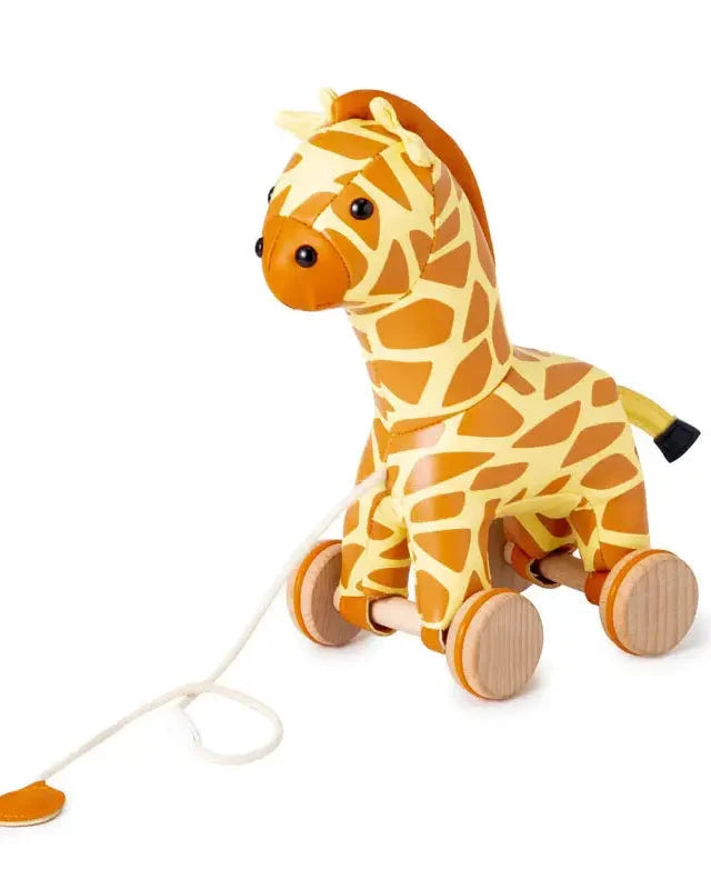 Gina the Pull Along - Giraffe - Little Big Friends