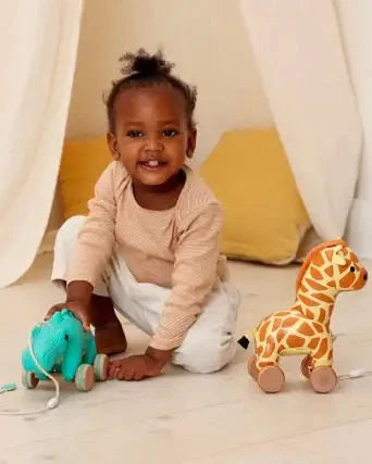 Gina the Pull Along - Giraffe - Little Big Friends