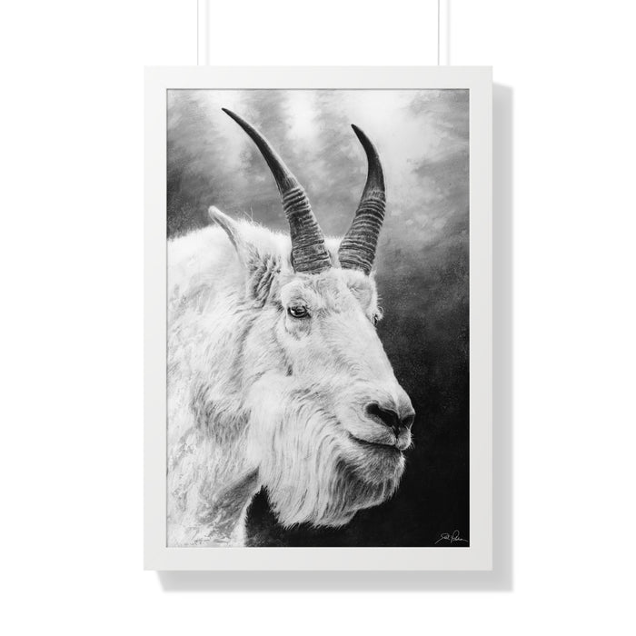 20" x 30" / White