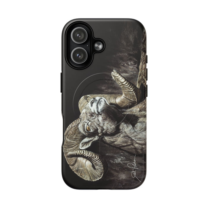 iPhone 17 / Matte