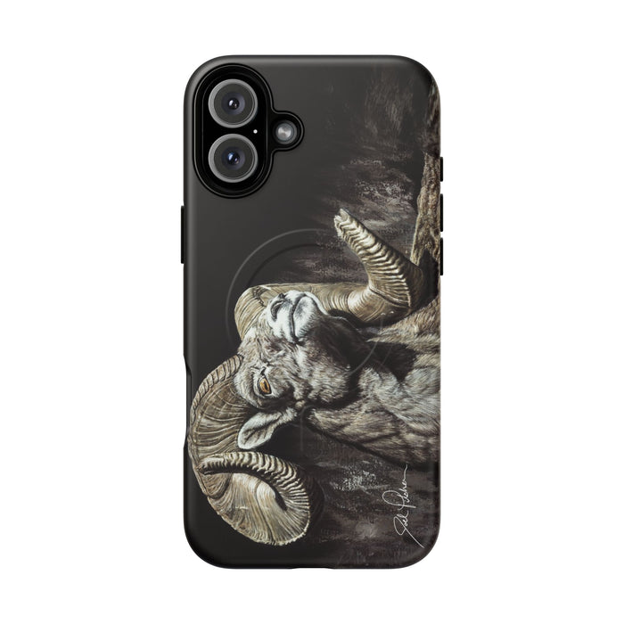 iPhone 16 Plus / Matte
