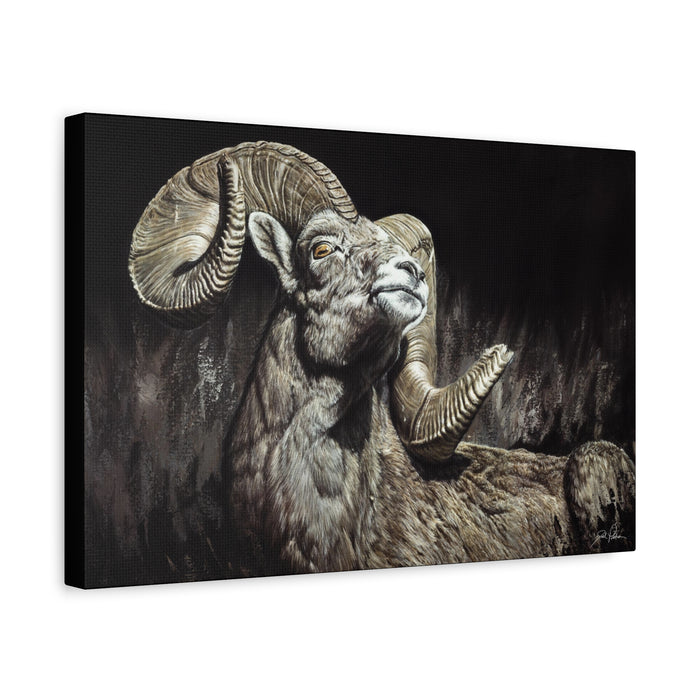 "Golden Eye" Stretched Canvas