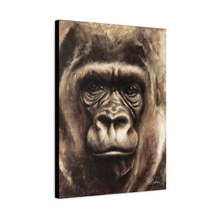 "Gorilla" Stretched Canvas