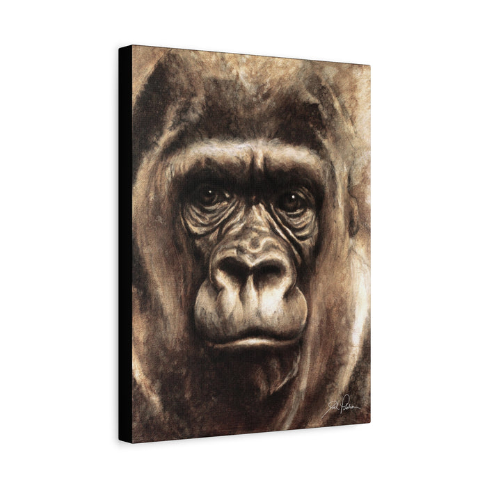 "Gorilla" Stretched Canvas
