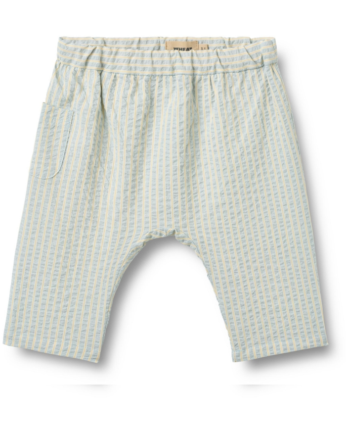 Striped shorts on a white background
