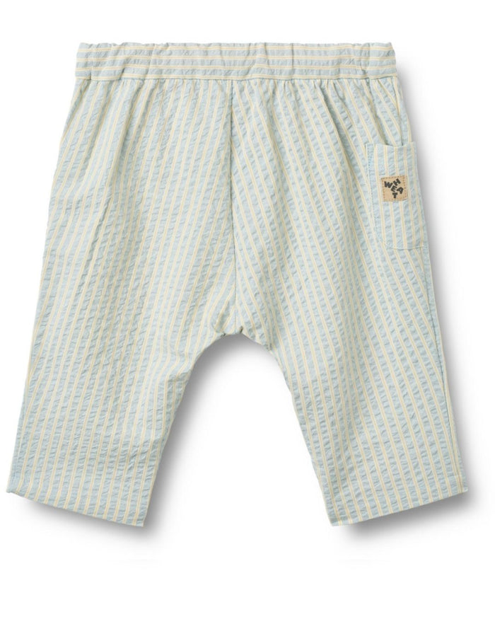 Striped shorts on a white background