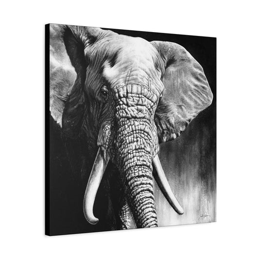 "High & Mighty" Stretched Canvas