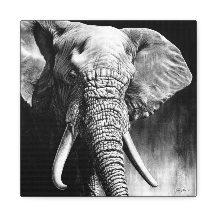 "High & Mighty" Stretched Canvas