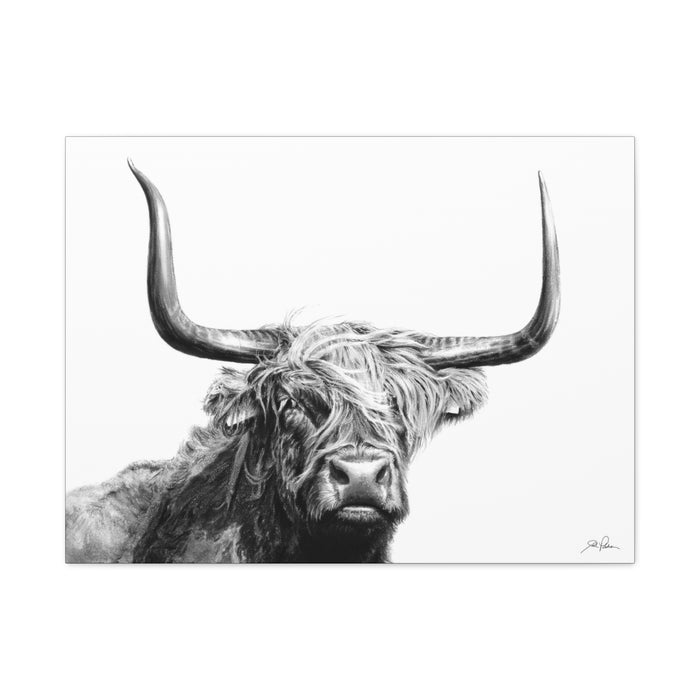 "Highlander" Stretched Canvas