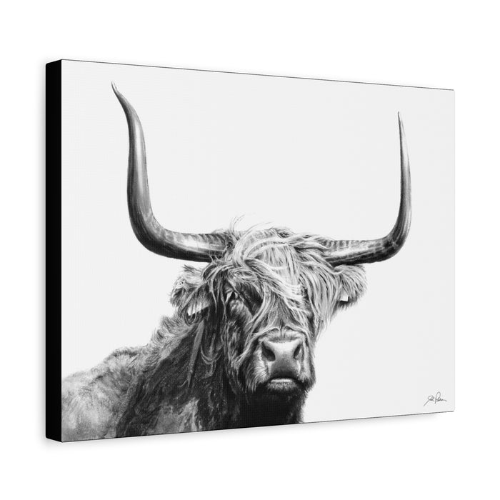 "Highlander" Stretched Canvas