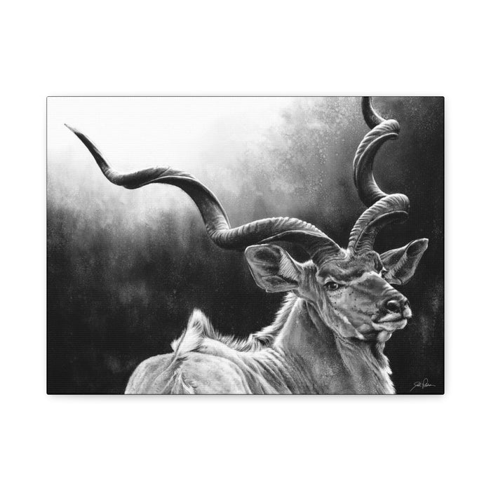 "Kudu" Stretched Canvas