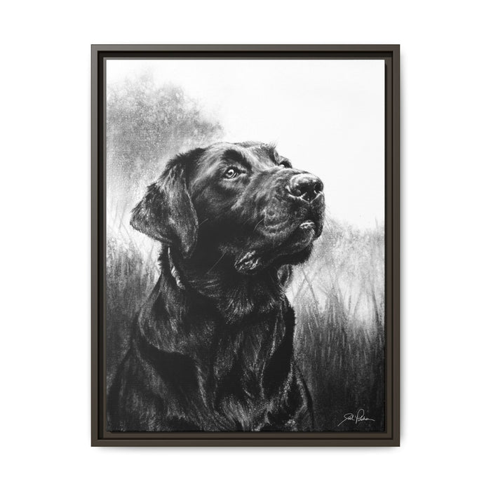 "Labrador Retriever" Framed Canvas