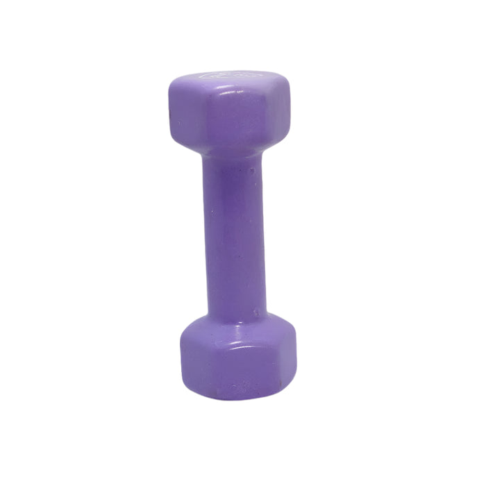 LIFTUP VINYL WEIGHT LIFTING DUMBBELLS PAIR 2 KG