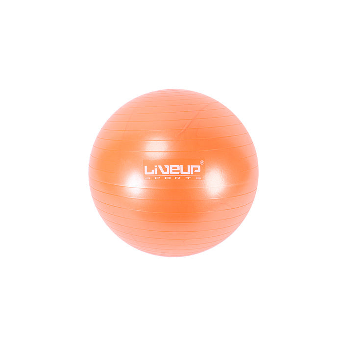 LIVE UP EXERCISE GYM BALLl 65 CM LS-3222