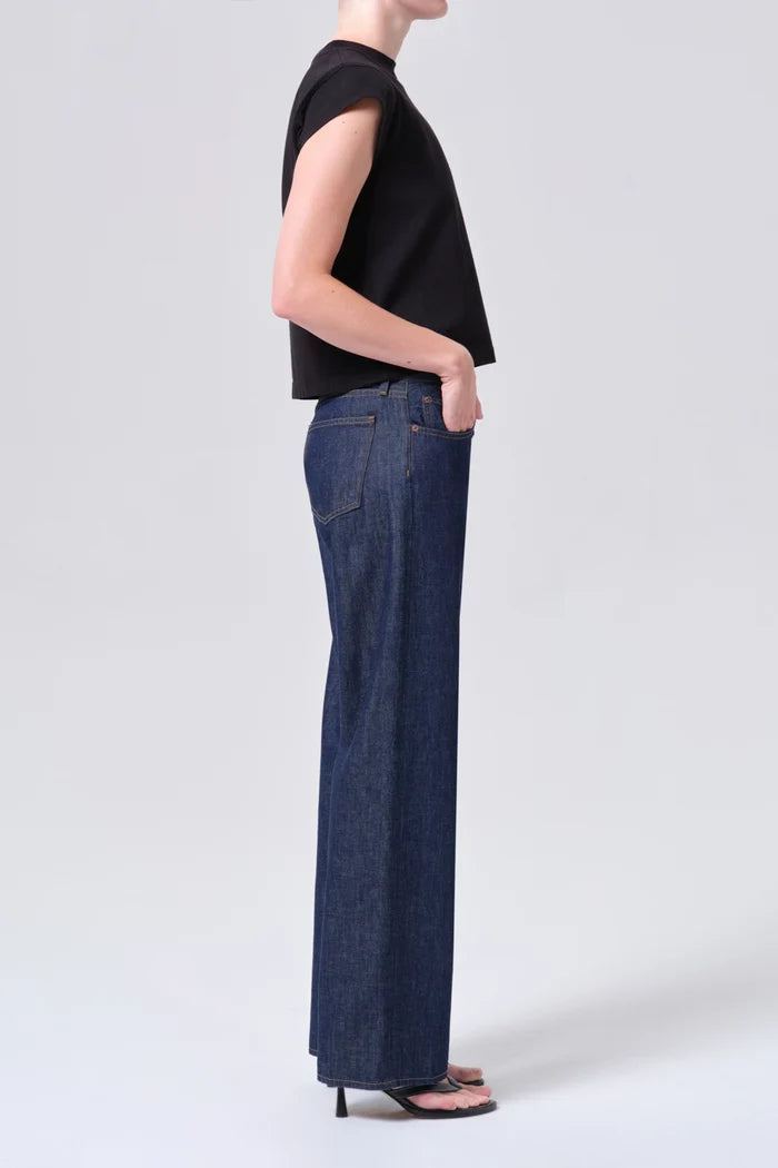 Low Rise Loose Jeans AGOLDE