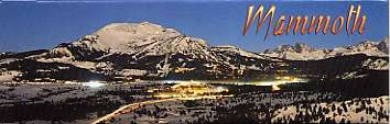 Mammoth At Night Magnet