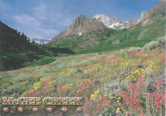 McGee Creek Postcard-QTY=50