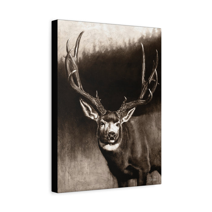 "Muley" Stretched Canvas
