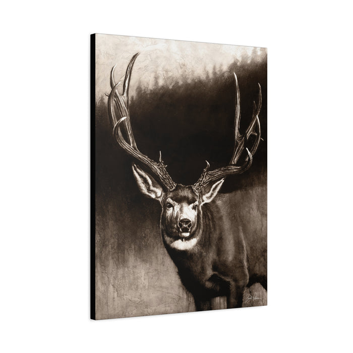 "Muley" Stretched Canvas
