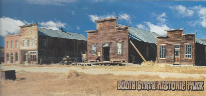 Panoramic Bodie Postcard