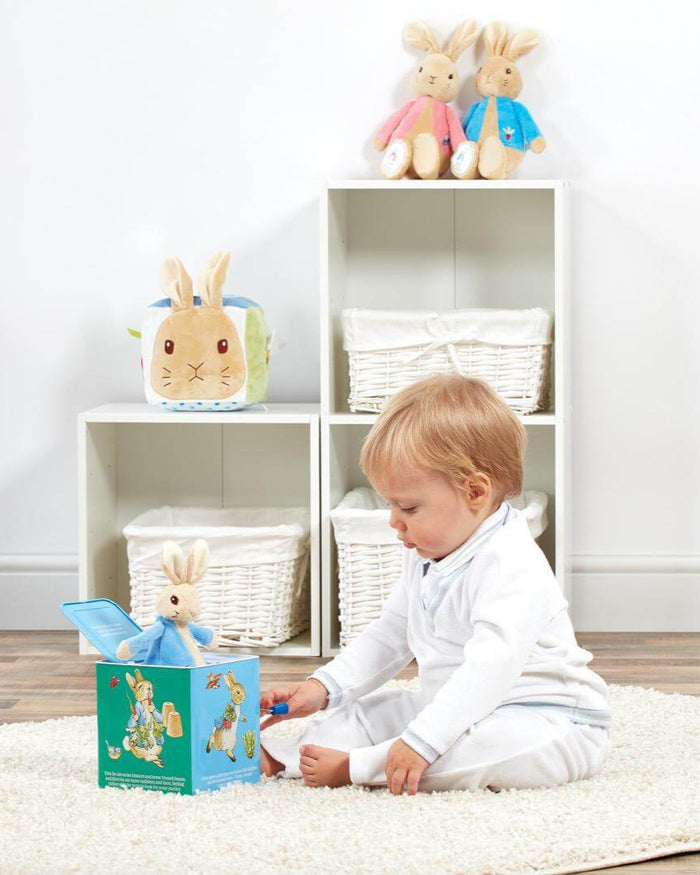 Peter Rabbit Jack In The Box - The Blue Zebra