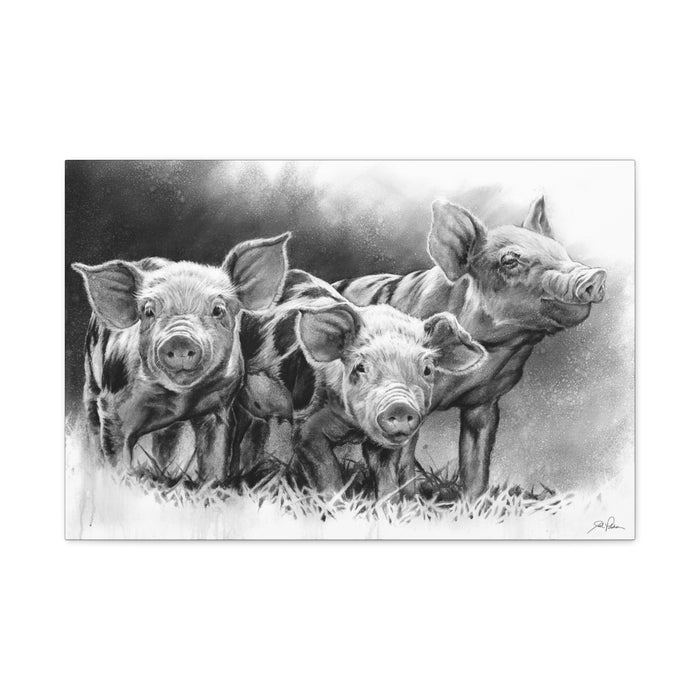 "Pig Tales" Stretched Canvas