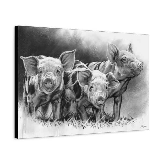 "Pig Tales" Stretched Canvas