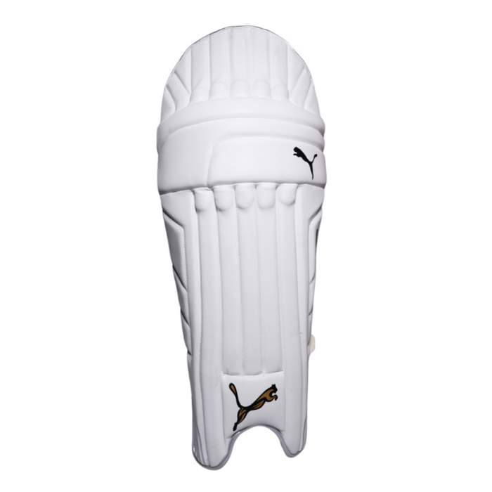PUMA PRO CRICKET HARD BAT BATTING PROTECTION LEG PAD
