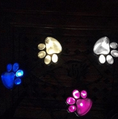 Gadget Gerbil Style A multicolor LED Paw Print Solar Lights