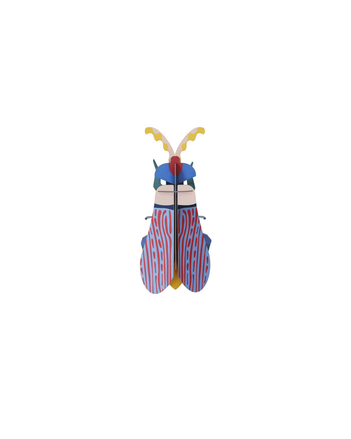 Colorful toy beetle on a white background