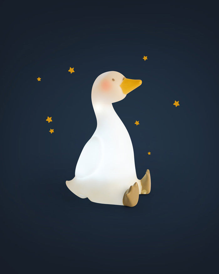 Swan USB Night Light – La Petite École de Danse Nursery Light - Moulin Roty