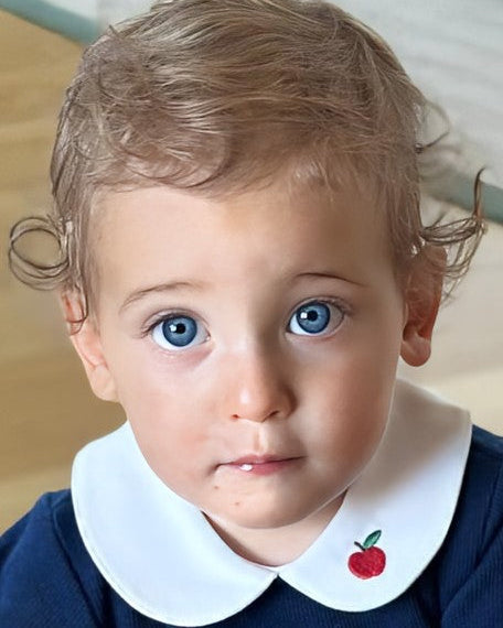 A close-up portrait of a toddler with light brown hair and bright blue eyes, wearing a navy blue top with a white Peter Pan collar featuring a small red apple embroidery.