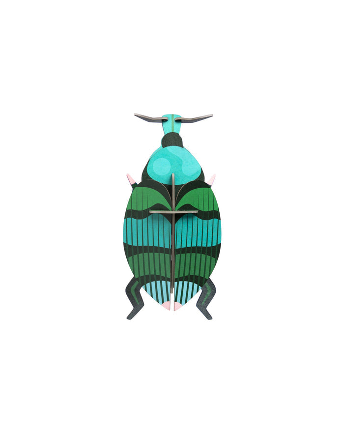 Colorful beetle-shaped toy on a white background